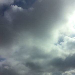 Meet your Posher, Harry